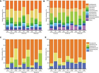 Characteristics of soil microbiota and organic carbon distribution in jackfruit plantation under different fertilization regimes